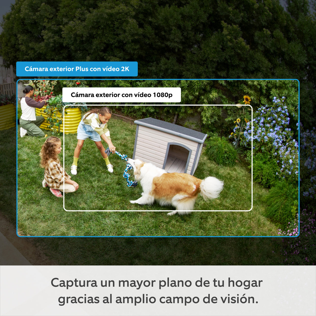 files/Ring.COM_OCP-1500x1500_03_ES_8df7f2c9-9c1f-4118-9898-64452c161828.jpg