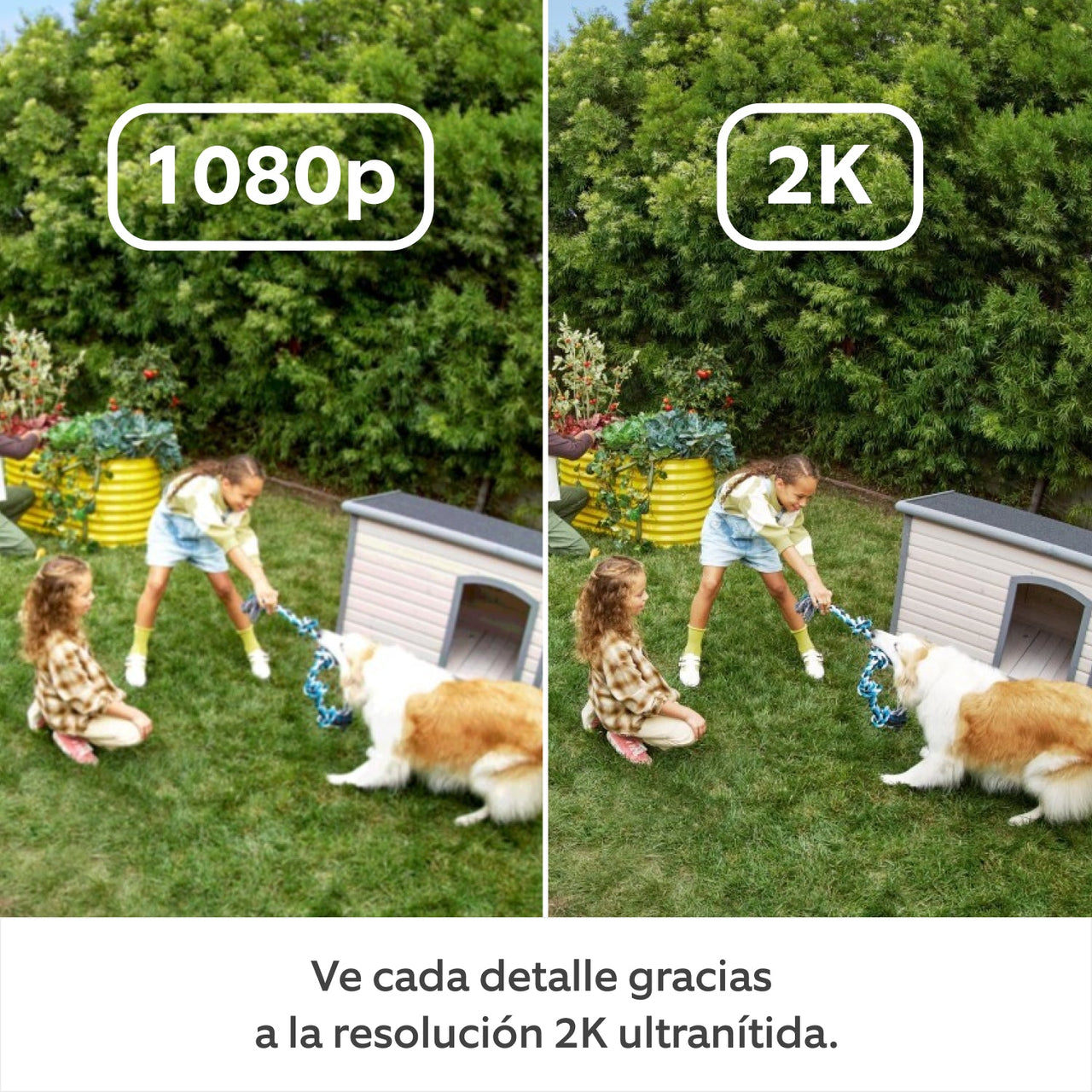 files/Ring_OCP-1500x1500_03_ES_3d0657c8-618c-477a-a89d-b02b1f6bf9a4.jpg