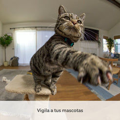 files/ring_pantilt-indoor-camera_wht_05_pets_es_1500x1500_c2a48266-64ae-4e74-85b5-ad49945aebd5.jpg