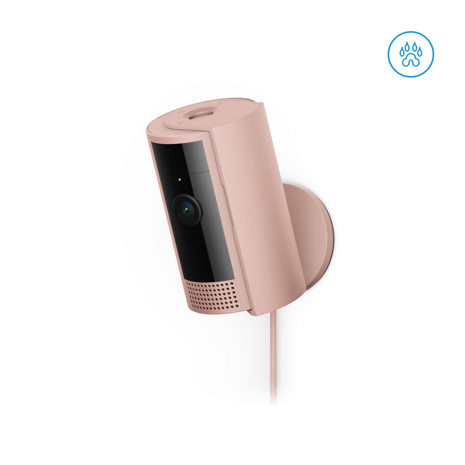 Rosado:Indoor Camera (2.ª gen.)